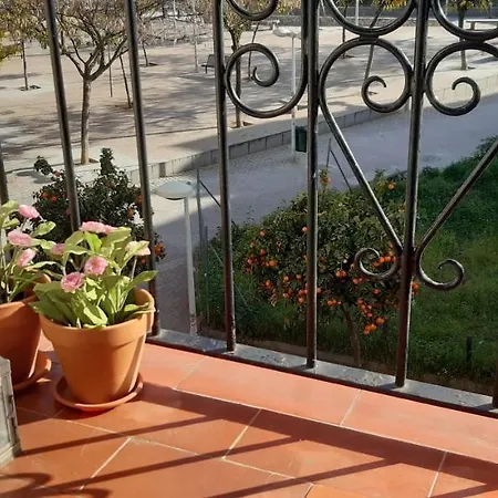 Apartment Golondrina *